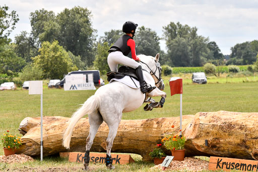 Goldene Schärpe Ponys in Hohenberg Krusemark 2024 | 13072024 Gelände 1 Abt_946 