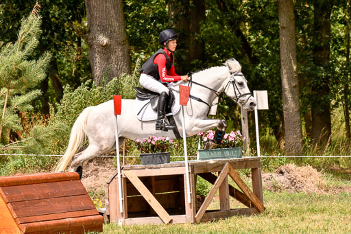 Goldene Schärpe Ponys in Hohenberg Krusemark 2024 | 13072024 Gelände 1 Abt_955 