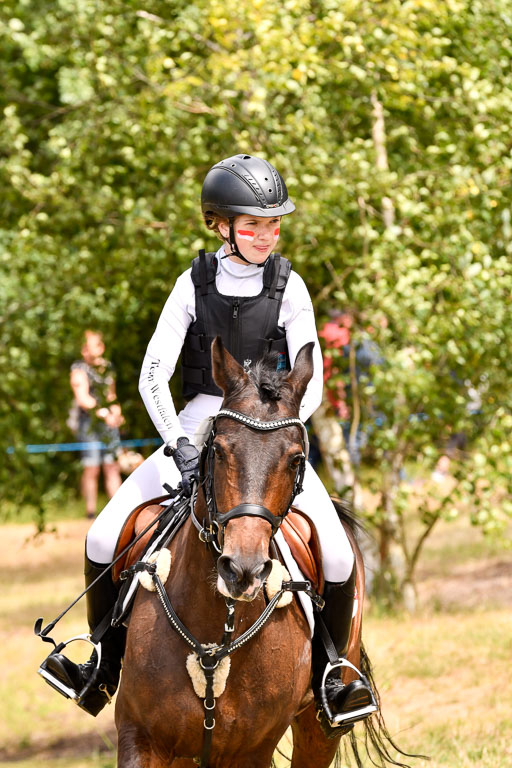 Goldene Schärpe Ponys in Hohenberg Krusemark 2024 | 13072024 Gelände 1 Abt_956 
