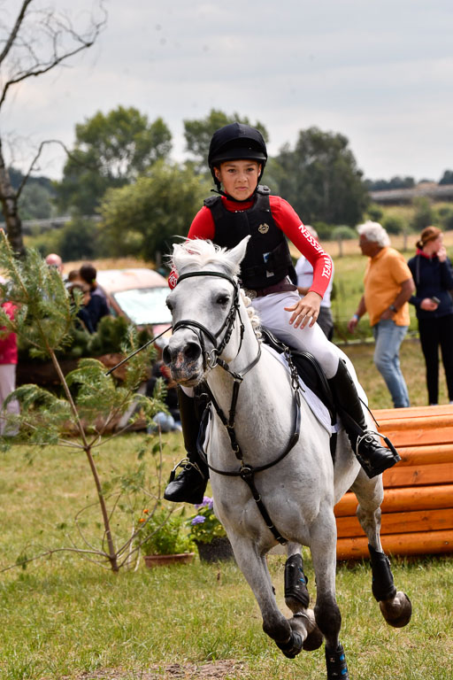 Goldene Schärpe Ponys in Hohenberg Krusemark 2024 | 13072024 Gelände 1 Abt_964 
