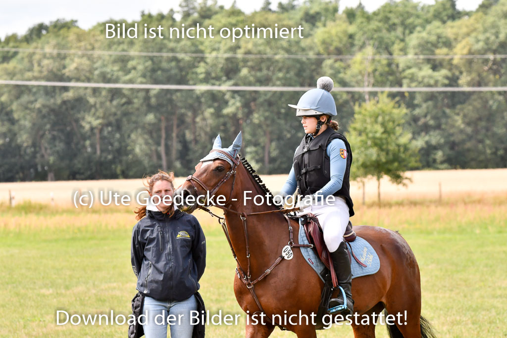 Goldene Schärpe Ponys in Hohenberg Krusemark 2024 | 13072024 Gelände_009