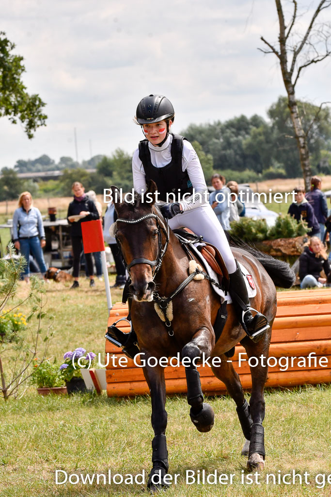 Goldene Schärpe Ponys in Hohenberg Krusemark 2024 | 13072024 Gelände_012