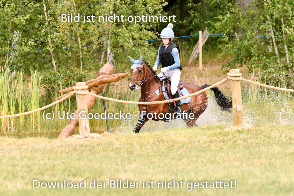 Goldene Schärpe Ponys in Hohenberg Krusemark 2024 | 13072024 Gelände_021