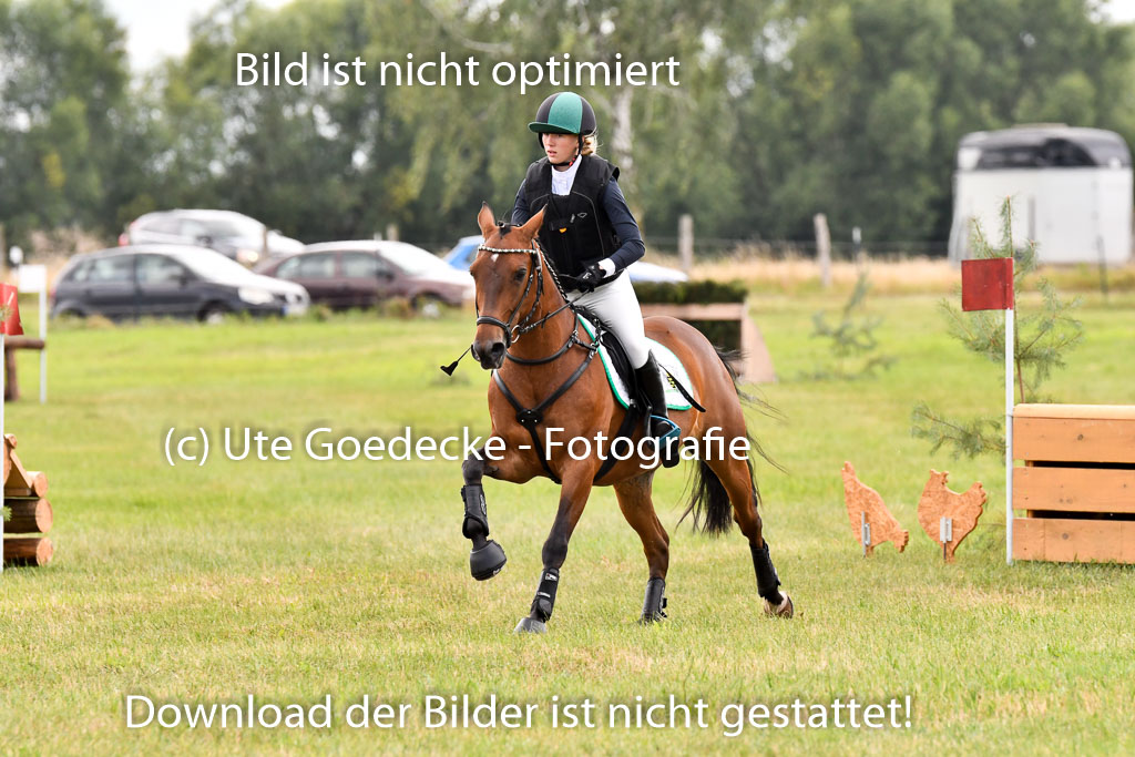 Goldene Schärpe Ponys in Hohenberg Krusemark 2024 | 13072024 Gelände_034