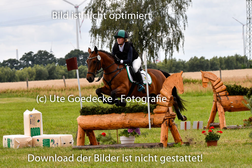 Goldene Schärpe Ponys in Hohenberg Krusemark 2024 | 13072024 Gelände_035
