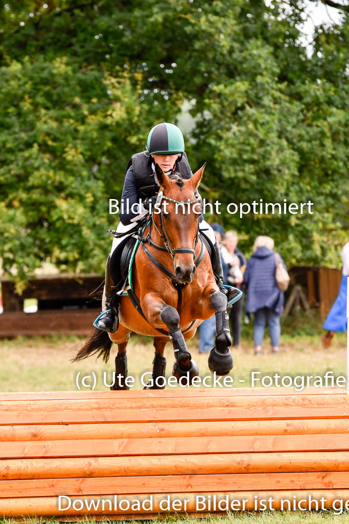 Goldene Schärpe Ponys in Hohenberg Krusemark 2024 | 13072024 Gelände_042