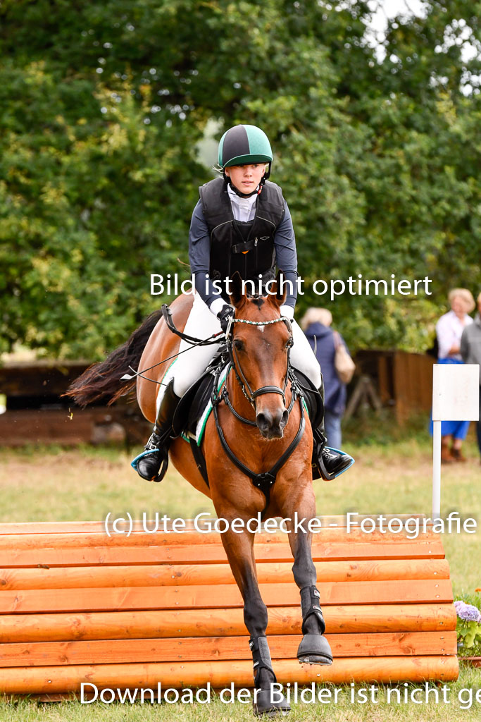 Goldene Schärpe Ponys in Hohenberg Krusemark 2024 | 13072024 Gelände_043