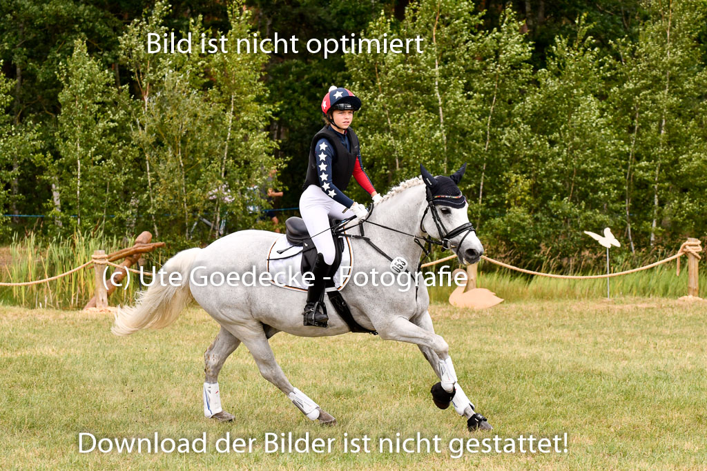 Goldene Schärpe Ponys in Hohenberg Krusemark 2024 | 13072024 Gelände_059