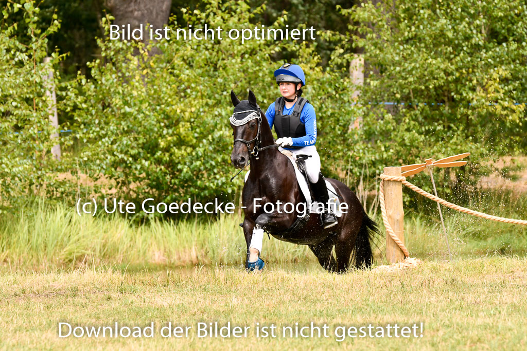 Goldene Schärpe Ponys in Hohenberg Krusemark 2024 | 13072024 Gelände_079