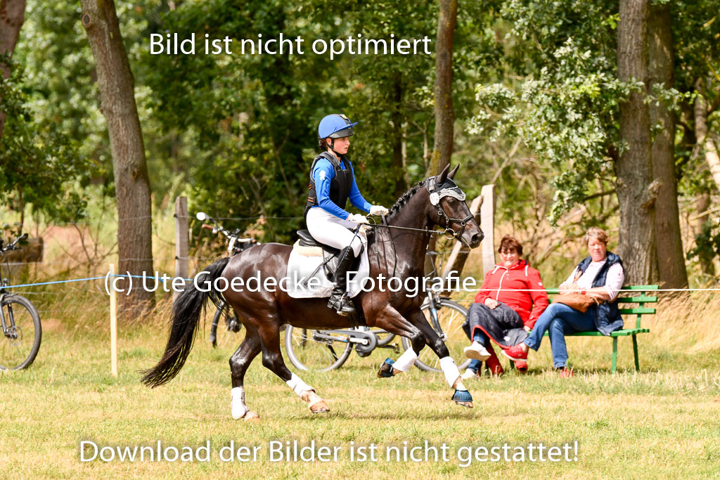 Goldene Schärpe Ponys in Hohenberg Krusemark 2024 | 13072024 Gelände_081
