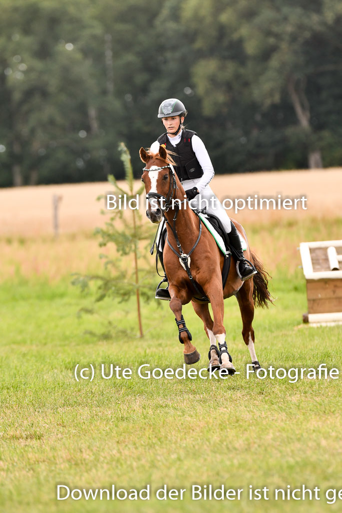 Goldene Schärpe Ponys in Hohenberg Krusemark 2024 | 13072024 Gelände_301