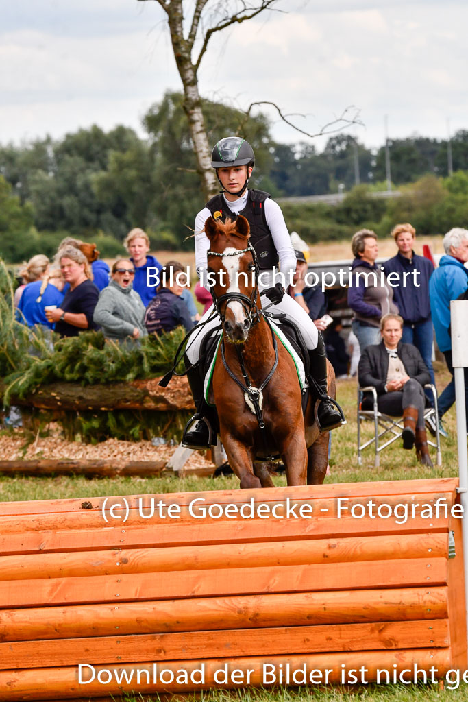 Goldene Schärpe Ponys in Hohenberg Krusemark 2024 | 13072024 Gelände_307