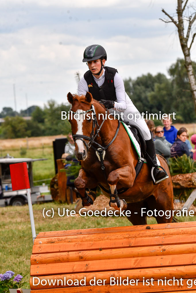 Goldene Schärpe Ponys in Hohenberg Krusemark 2024 | 13072024 Gelände_308
