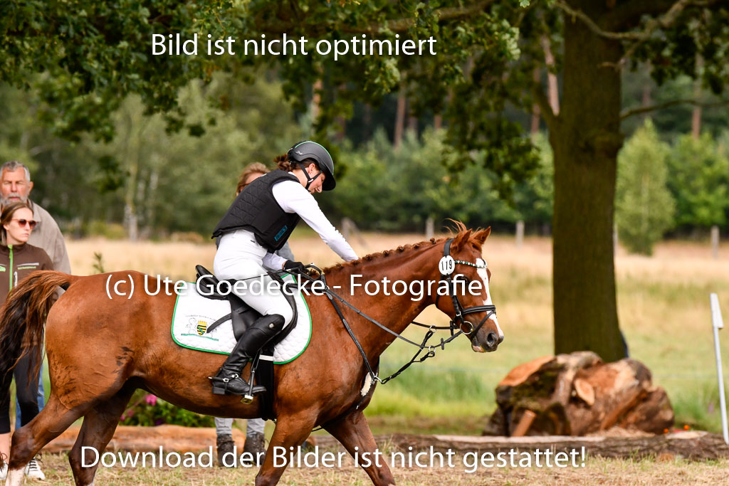 Goldene Schärpe Ponys in Hohenberg Krusemark 2024 | 13072024 Gelände_313