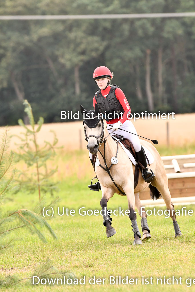 Goldene Schärpe Ponys in Hohenberg Krusemark 2024 | 13072024 Gelände_314