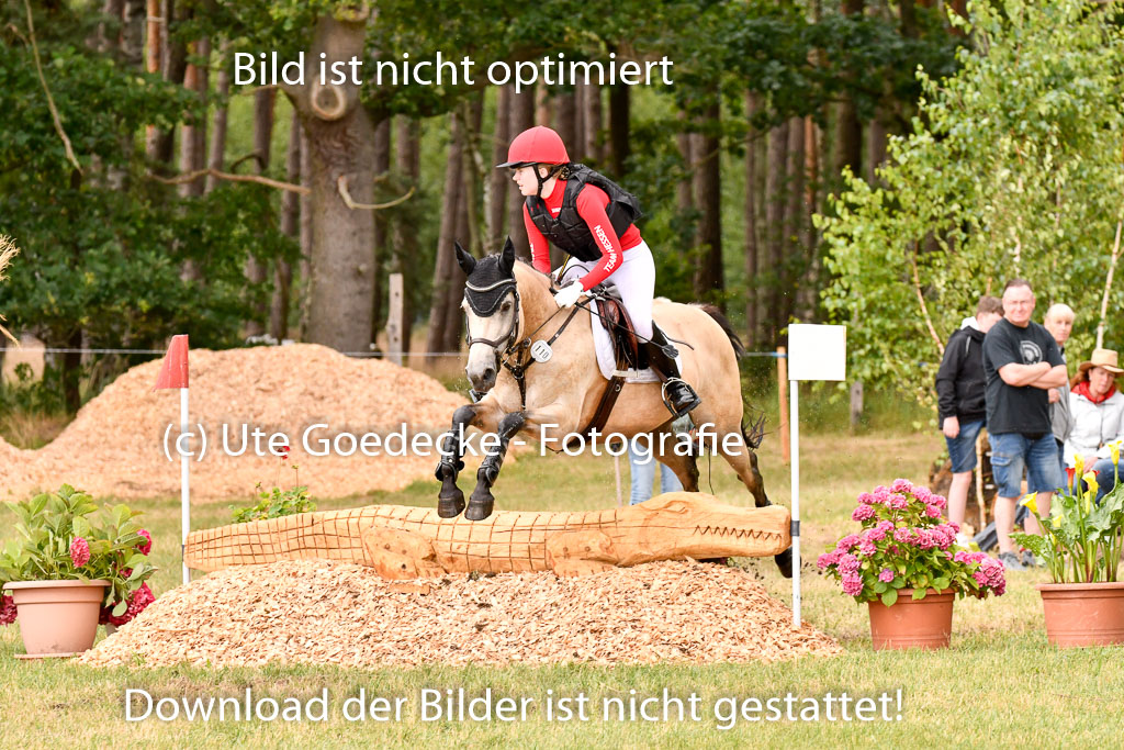 Goldene Schärpe Ponys in Hohenberg Krusemark 2024 | 13072024 Gelände_319