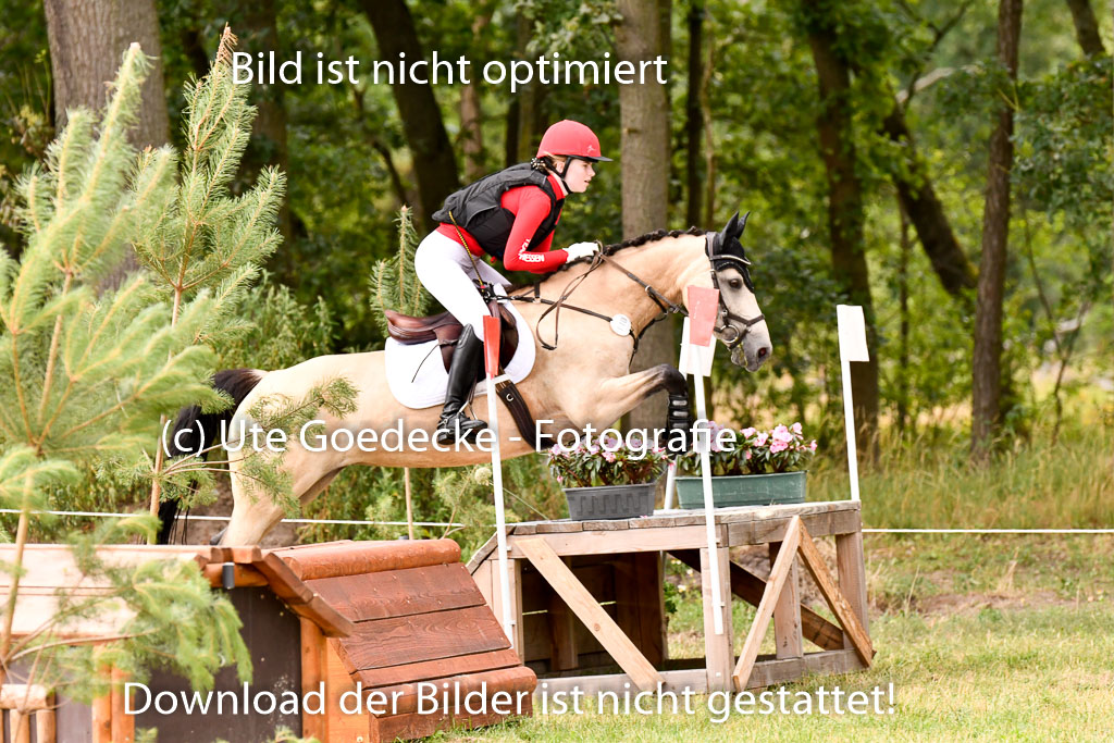 Goldene Schärpe Ponys in Hohenberg Krusemark 2024 | 13072024 Gelände_320