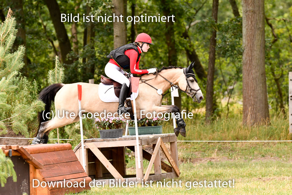 Goldene Schärpe Ponys in Hohenberg Krusemark 2024 | 13072024 Gelände_321