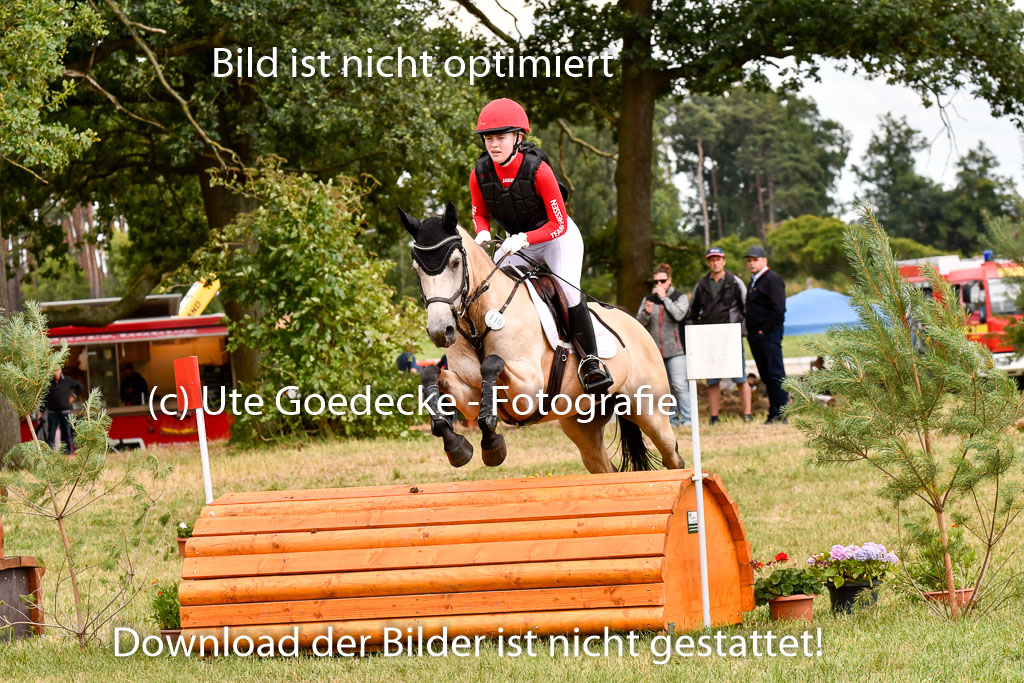Goldene Schärpe Ponys in Hohenberg Krusemark 2024 | 13072024 Gelände_322
