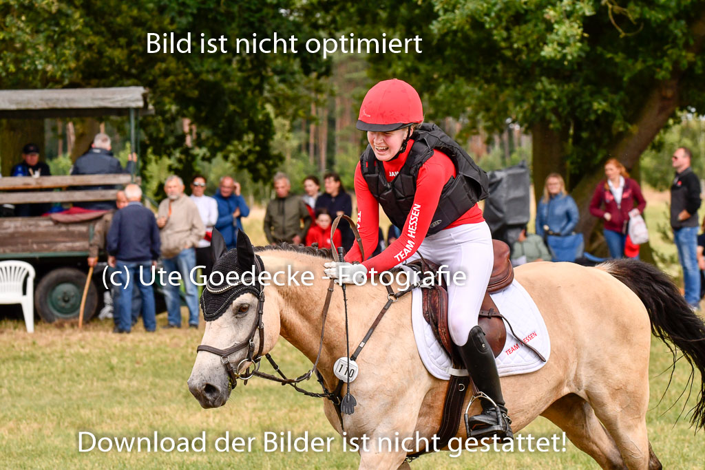 Goldene Schärpe Ponys in Hohenberg Krusemark 2024 | 13072024 Gelände_323