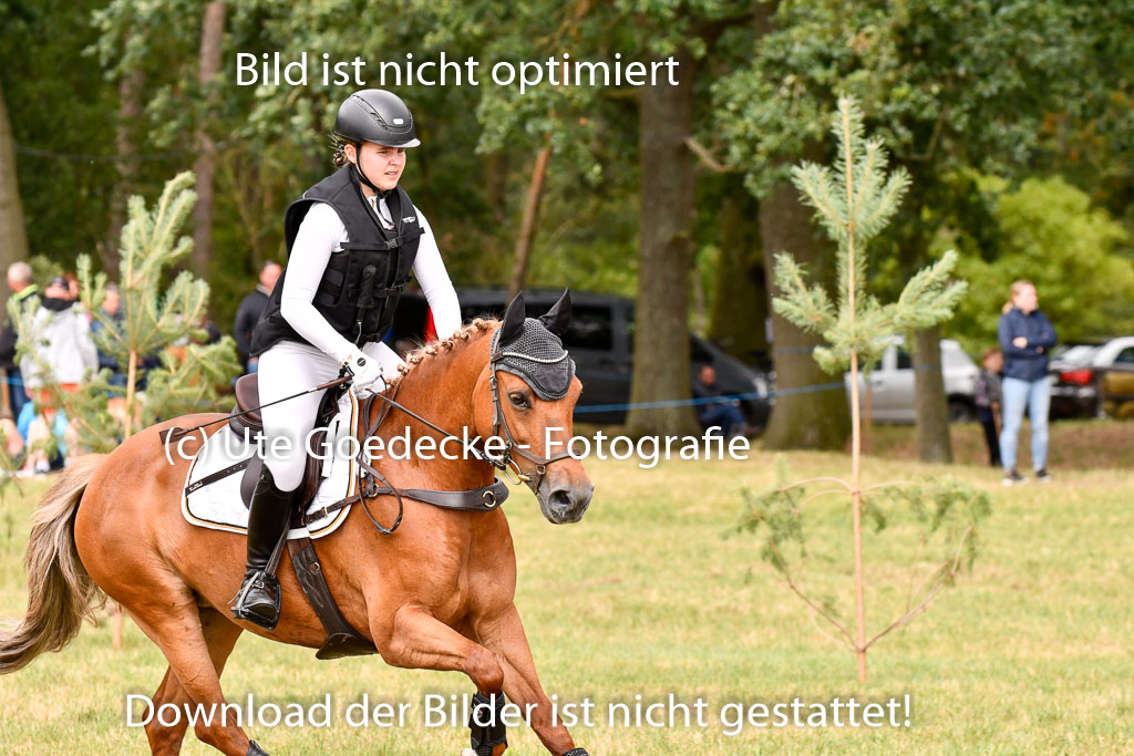 Goldene Schärpe Ponys in Hohenberg Krusemark 2024 | 13072024 Gelände_325