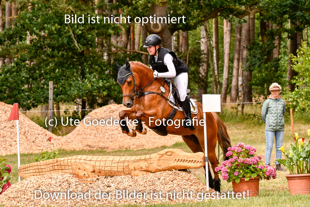Goldene Schärpe Ponys in Hohenberg Krusemark 2024 | 13072024 Gelände_329