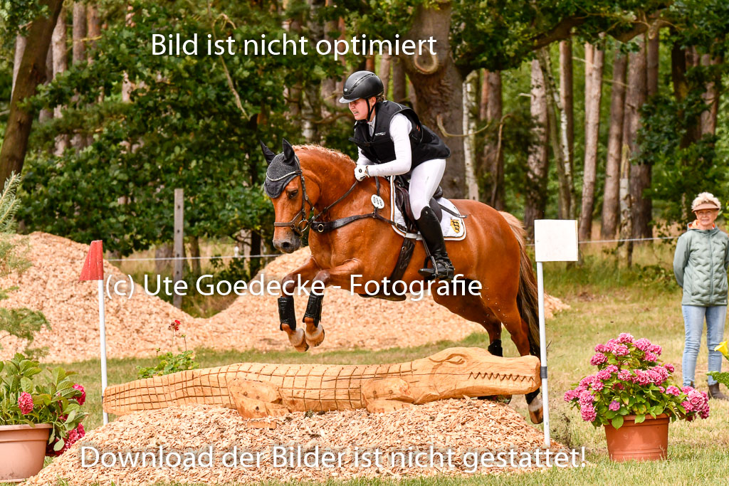Goldene Schärpe Ponys in Hohenberg Krusemark 2024 | 13072024 Gelände_330