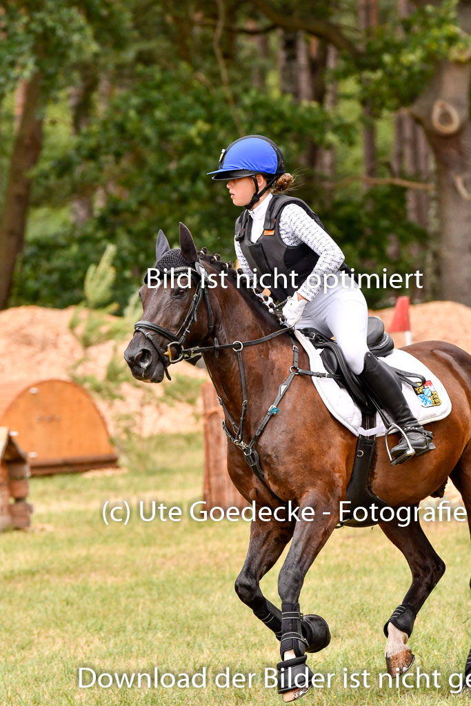Goldene Schärpe Ponys in Hohenberg Krusemark 2024 | 13072024 Gelände_333