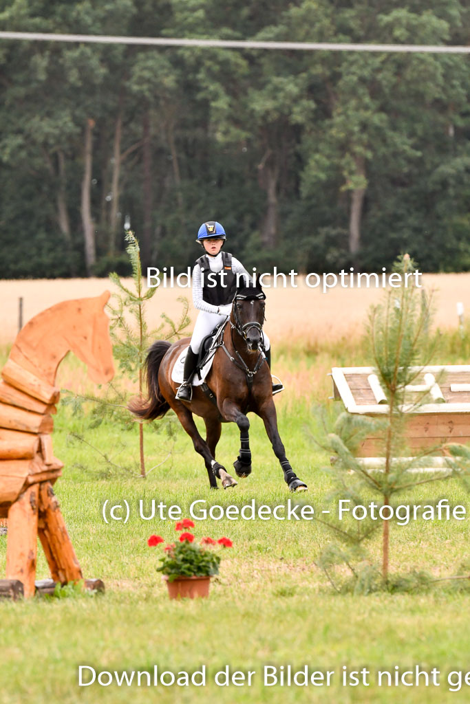 Goldene Schärpe Ponys in Hohenberg Krusemark 2024 | 13072024 Gelände_337