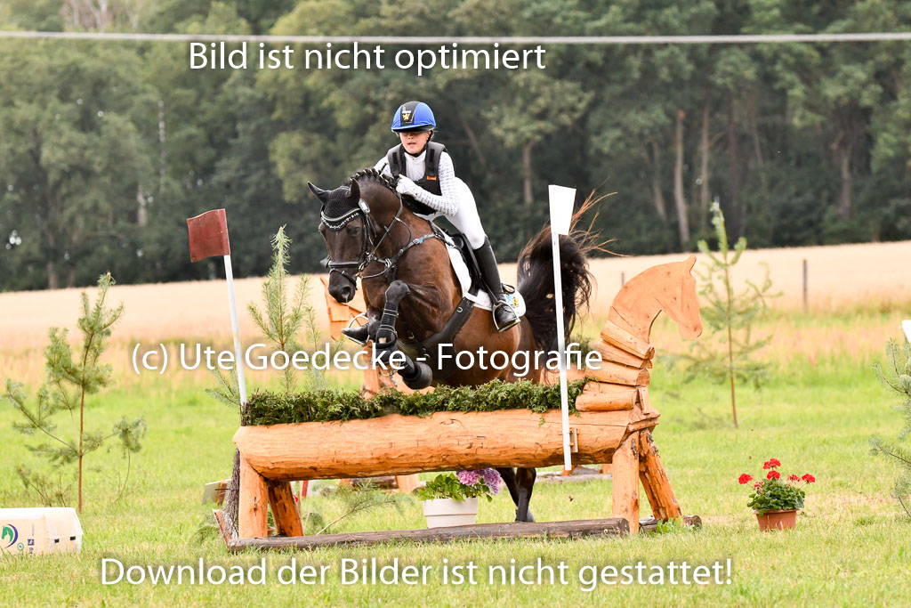 Goldene Schärpe Ponys in Hohenberg Krusemark 2024 | 13072024 Gelände_338