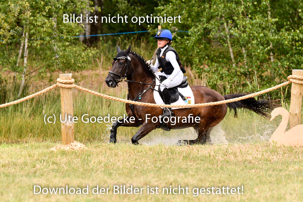 Goldene Schärpe Ponys in Hohenberg Krusemark 2024 | 13072024 Gelände_340