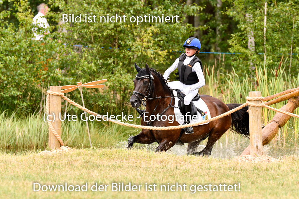 Goldene Schärpe Ponys in Hohenberg Krusemark 2024 | 13072024 Gelände_341