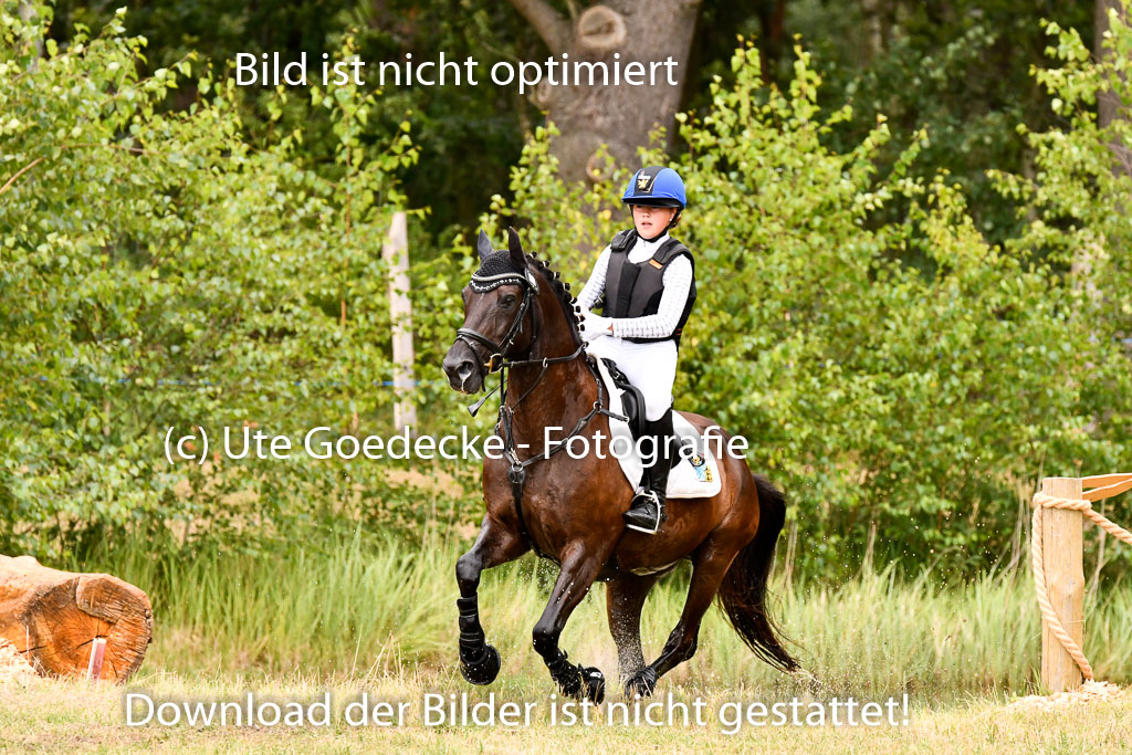 Goldene Schärpe Ponys in Hohenberg Krusemark 2024 | 13072024 Gelände_342