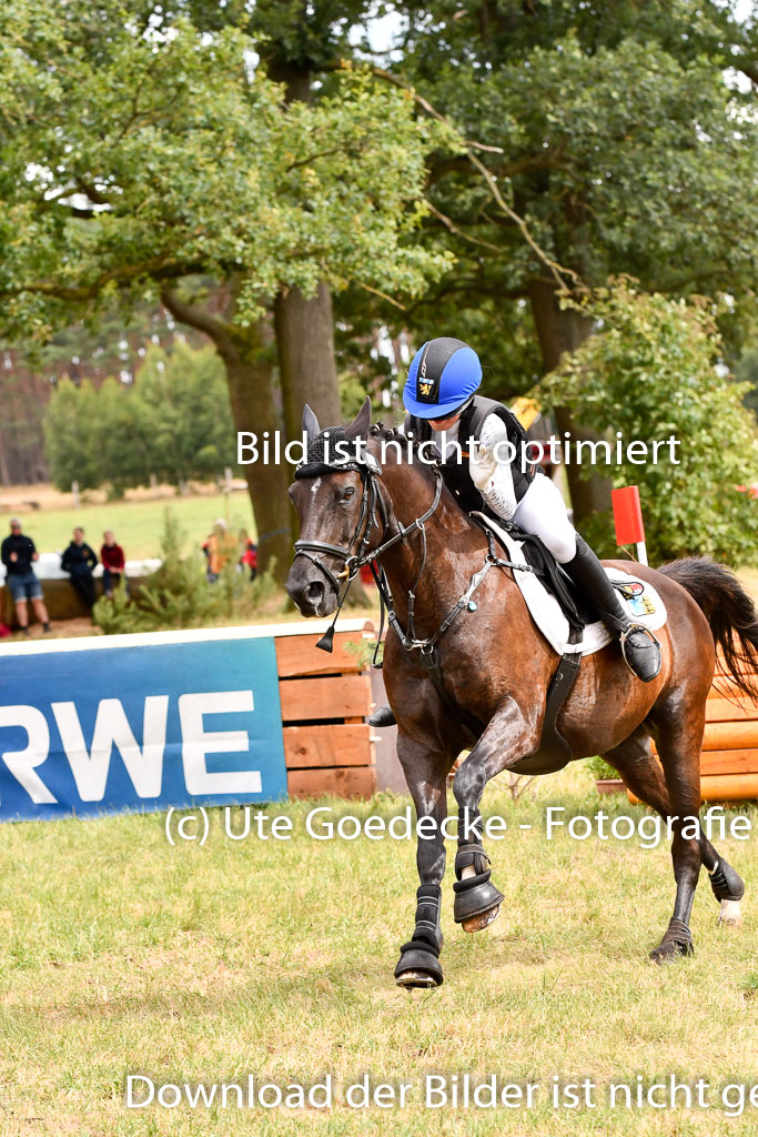 Goldene Schärpe Ponys in Hohenberg Krusemark 2024 | 13072024 Gelände_347