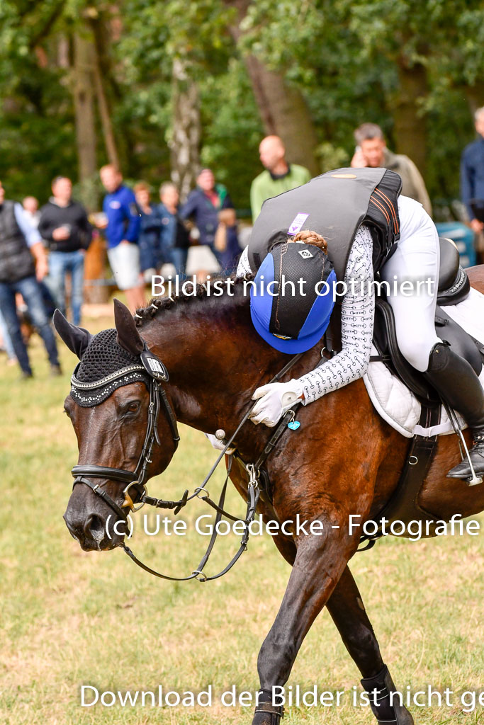 Goldene Schärpe Ponys in Hohenberg Krusemark 2024 | 13072024 Gelände_351