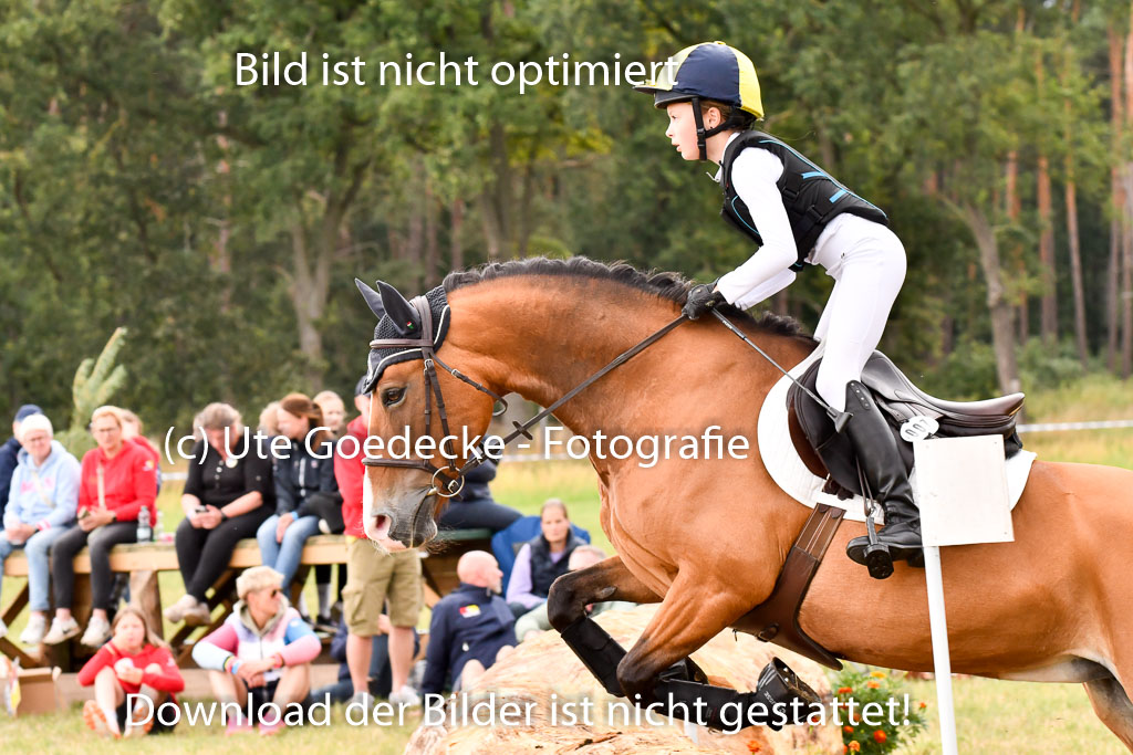 Goldene Schärpe Ponys in Hohenberg Krusemark 2024 | 13072024 Gelände_356