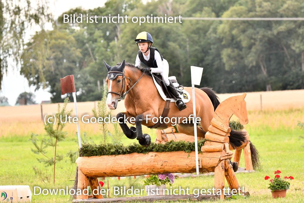 Goldene Schärpe Ponys in Hohenberg Krusemark 2024 | 13072024 Gelände_360
