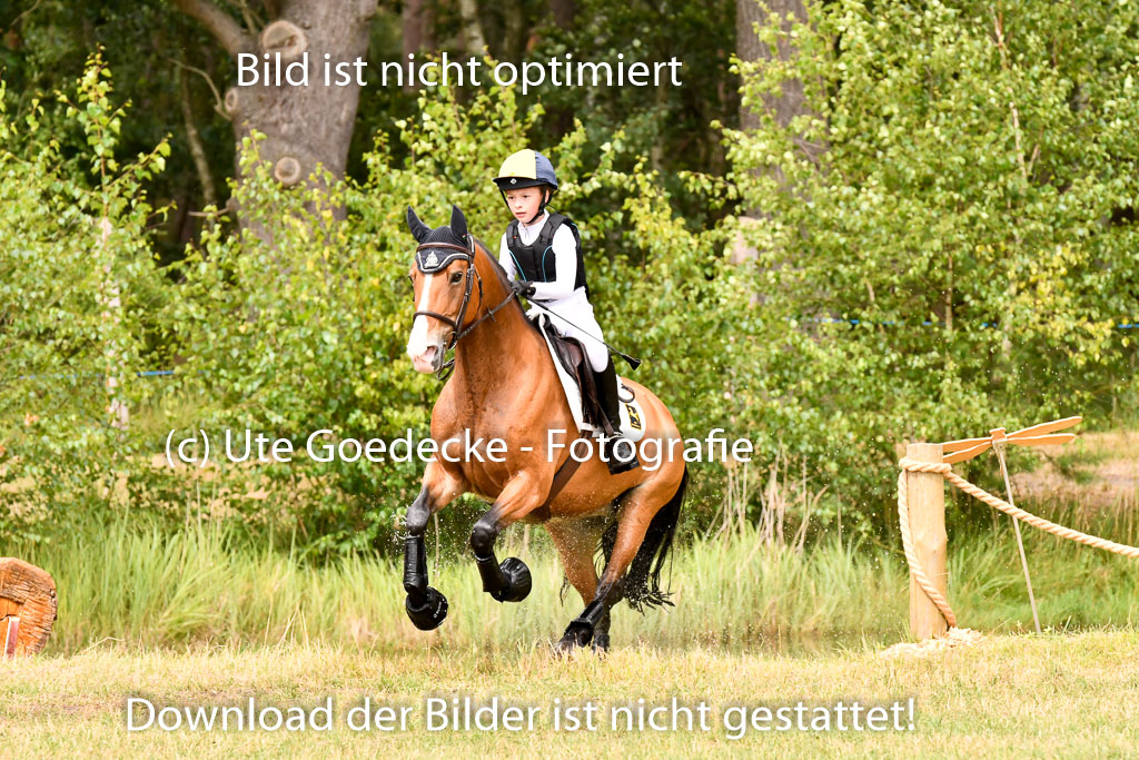 Goldene Schärpe Ponys in Hohenberg Krusemark 2024 | 13072024 Gelände_361