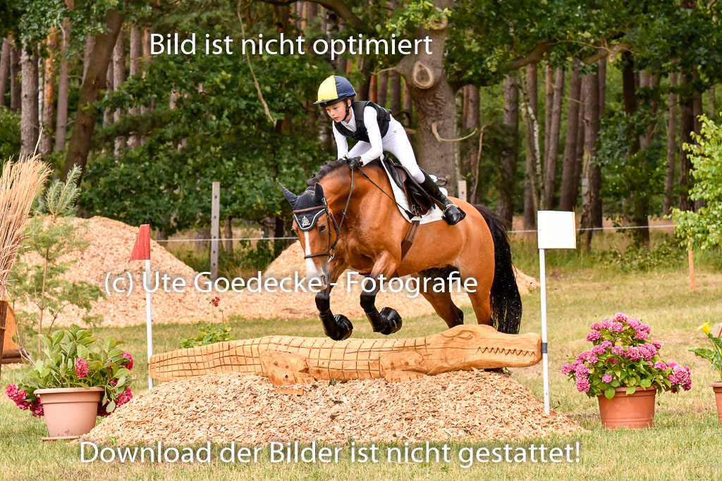 Goldene Schärpe Ponys in Hohenberg Krusemark 2024 | 13072024 Gelände_362