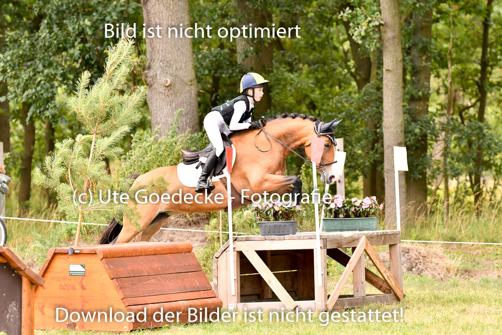 Goldene Schärpe Ponys in Hohenberg Krusemark 2024 | 13072024 Gelände_363