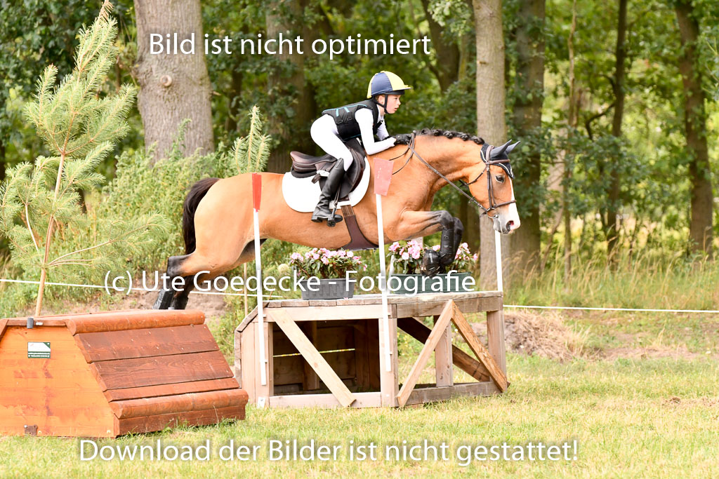 Goldene Schärpe Ponys in Hohenberg Krusemark 2024 | 13072024 Gelände_364