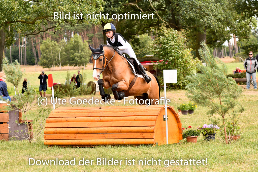 Goldene Schärpe Ponys in Hohenberg Krusemark 2024 | 13072024 Gelände_365