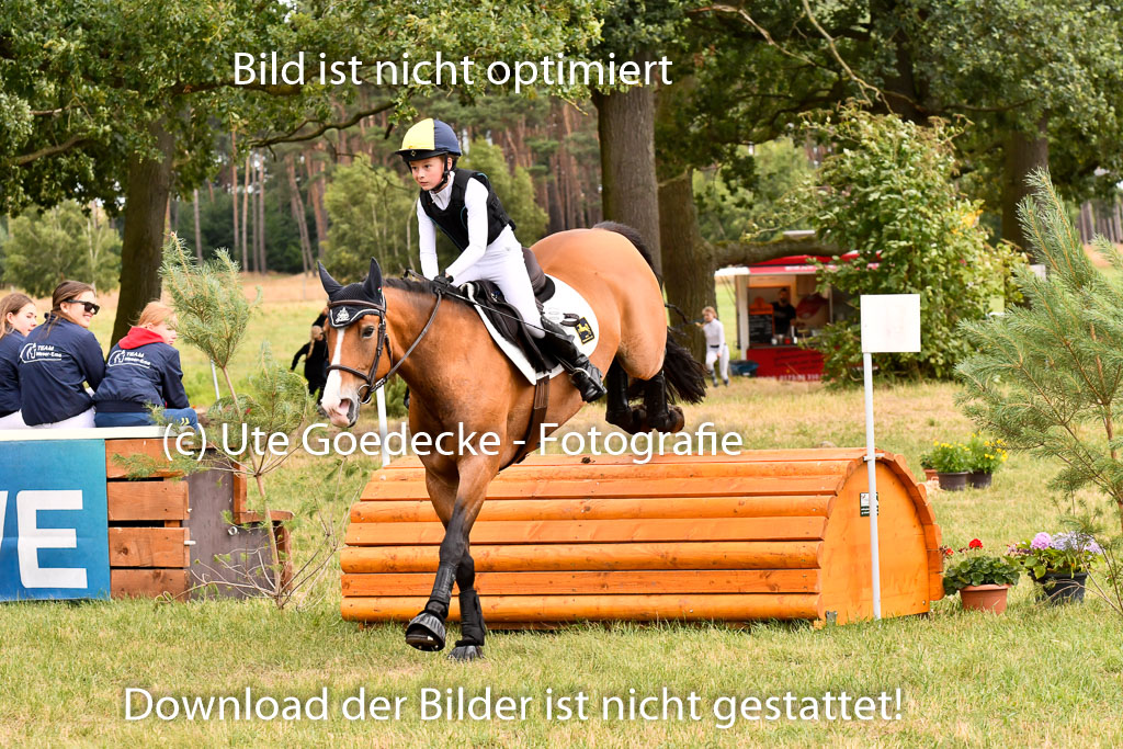 Goldene Schärpe Ponys in Hohenberg Krusemark 2024 | 13072024 Gelände_367
