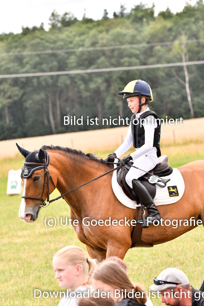 Goldene Schärpe Ponys in Hohenberg Krusemark 2024 | 13072024 Gelände_369