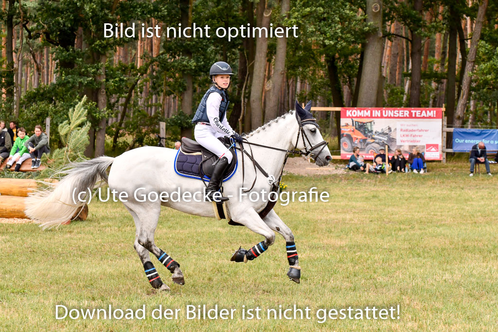 Goldene Schärpe Ponys in Hohenberg Krusemark 2024 | 13072024 Gelände_375