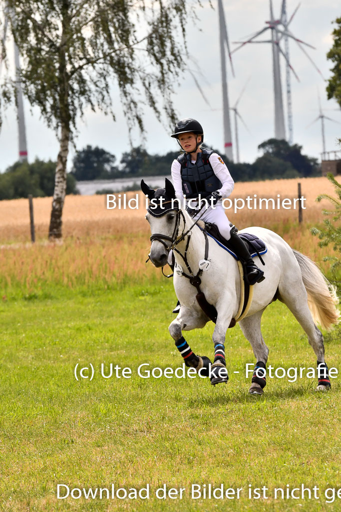 Goldene Schärpe Ponys in Hohenberg Krusemark 2024 | 13072024 Gelände_379