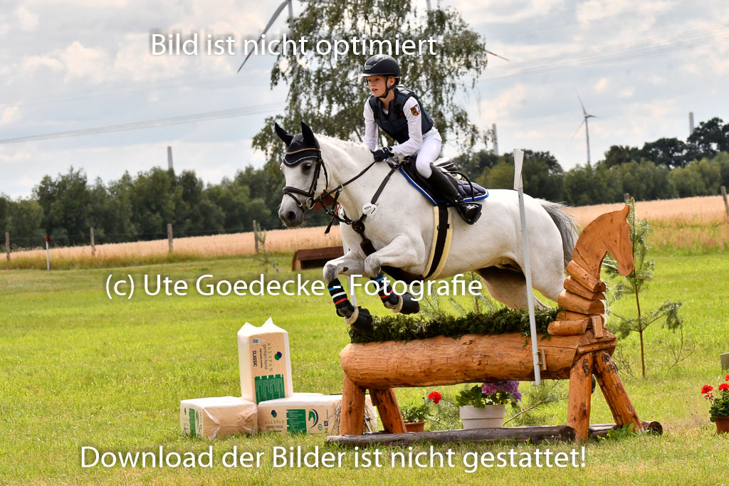 Goldene Schärpe Ponys in Hohenberg Krusemark 2024 | 13072024 Gelände_381