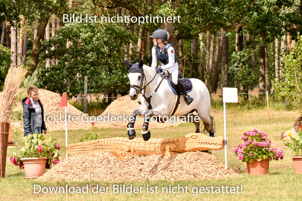 Goldene Schärpe Ponys in Hohenberg Krusemark 2024 | 13072024 Gelände_386