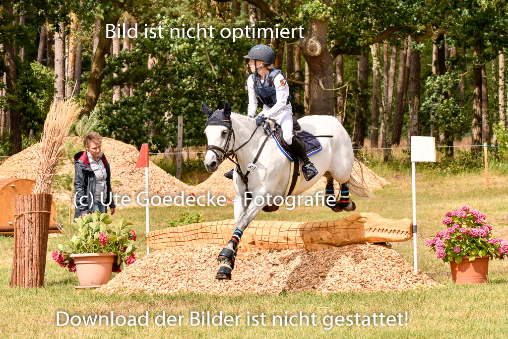 Goldene Schärpe Ponys in Hohenberg Krusemark 2024 | 13072024 Gelände_387