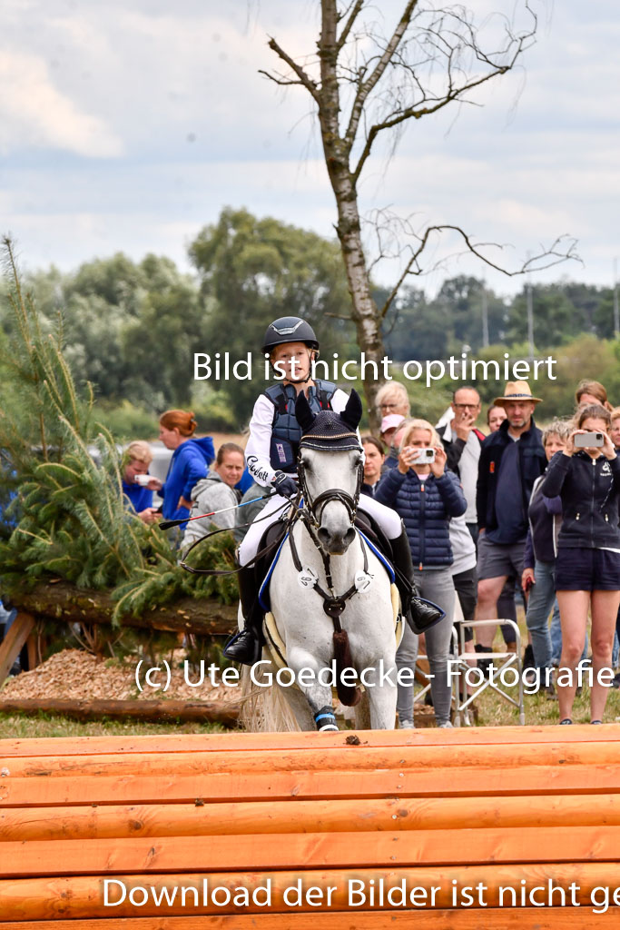 Goldene Schärpe Ponys in Hohenberg Krusemark 2024 | 13072024 Gelände_390